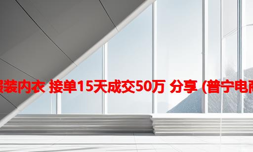 外贸 服装内衣 接单15天成交50万 分享 (普宁电商外贸)